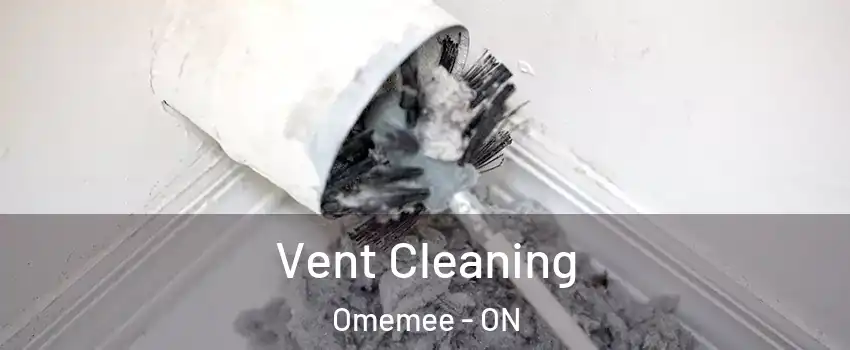  Vent Cleaning Omemee - ON