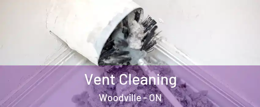  Vent Cleaning Woodville - ON