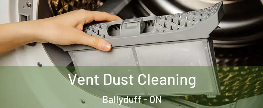  Vent Dust Cleaning Ballyduff - ON