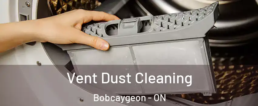  Vent Dust Cleaning Bobcaygeon - ON