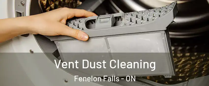  Vent Dust Cleaning Fenelon Falls - ON