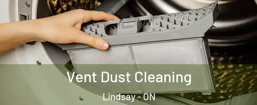  Vent Dust Cleaning Lindsay - ON