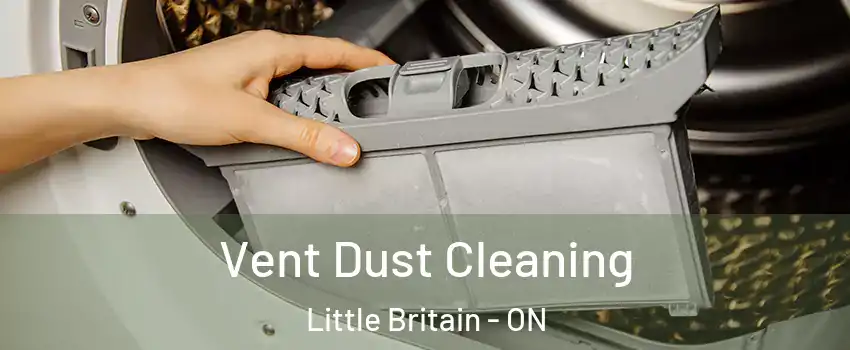  Vent Dust Cleaning Little Britain - ON
