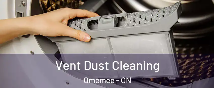  Vent Dust Cleaning Omemee - ON