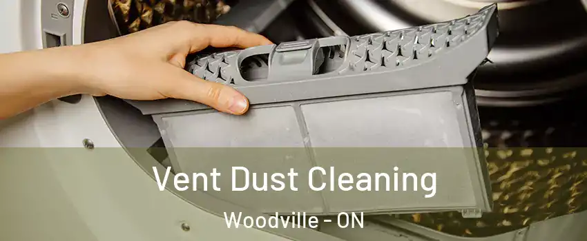  Vent Dust Cleaning Woodville - ON