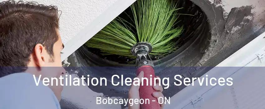  Ventilation Cleaning Services Bobcaygeon - ON
