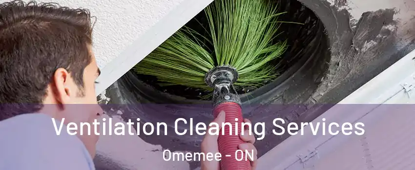  Ventilation Cleaning Services Omemee - ON
