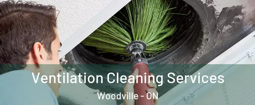  Ventilation Cleaning Services Woodville - ON