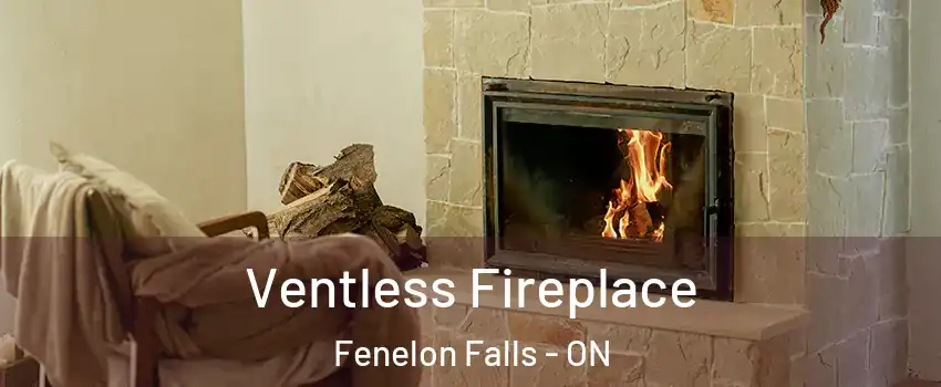  Ventless Fireplace Fenelon Falls - ON