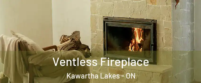  Ventless Fireplace Kawartha Lakes - ON