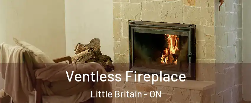  Ventless Fireplace Little Britain - ON