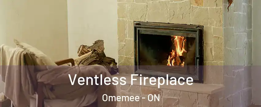  Ventless Fireplace Omemee - ON