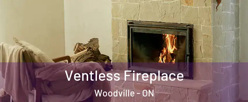  Ventless Fireplace Woodville - ON