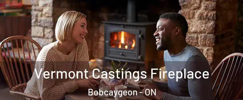  Vermont Castings Fireplace Bobcaygeon - ON