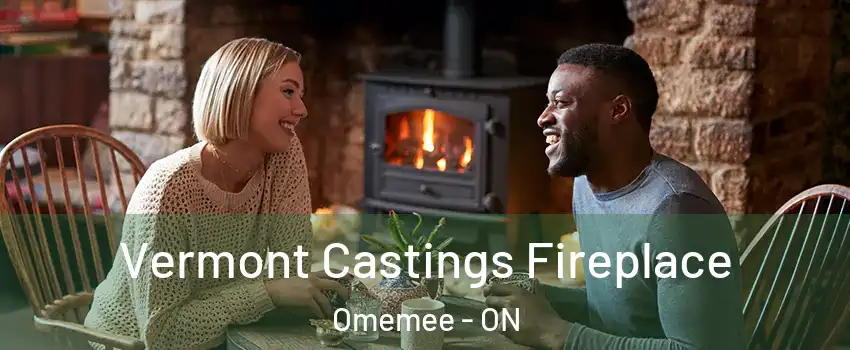  Vermont Castings Fireplace Omemee - ON