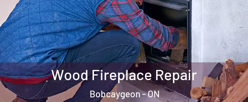  Wood Fireplace Repair Bobcaygeon - ON