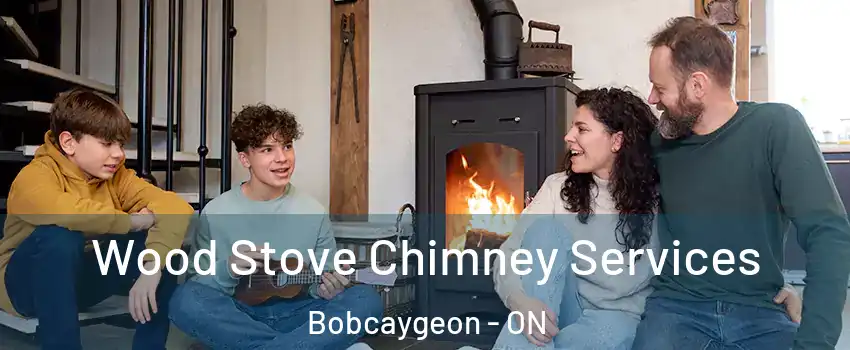  Wood Stove Chimney Services Bobcaygeon - ON