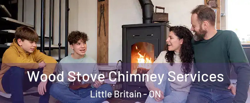  Wood Stove Chimney Services Little Britain - ON