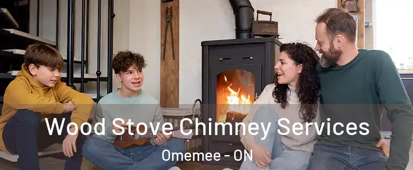  Wood Stove Chimney Services Omemee - ON