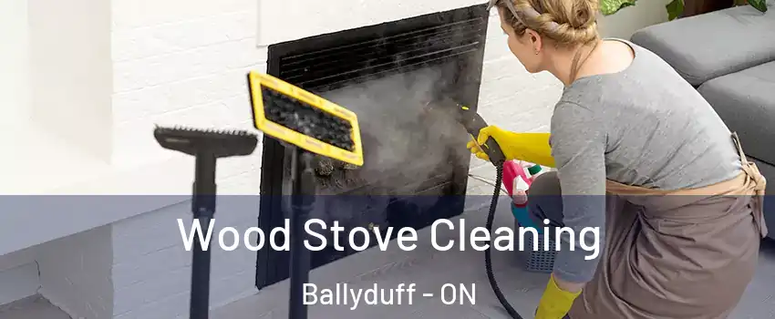  Wood Stove Cleaning Ballyduff - ON