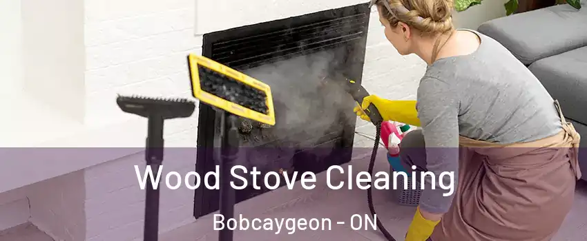  Wood Stove Cleaning Bobcaygeon - ON