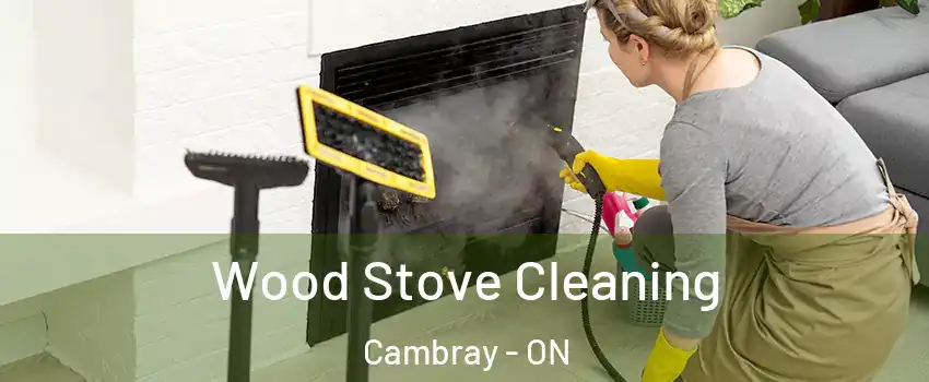 Wood Stove Cleaning Cambray - ON
