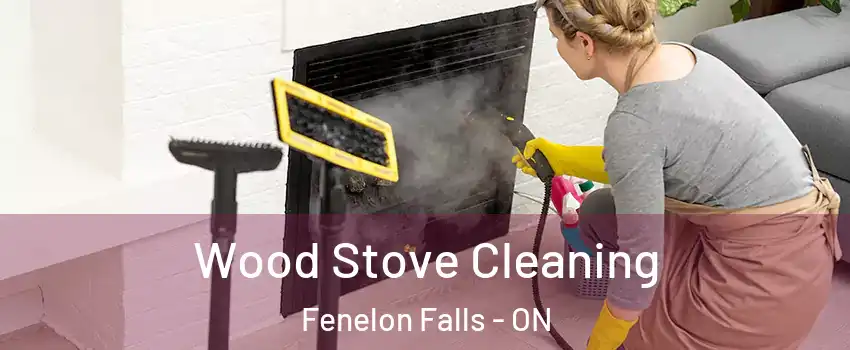 Wood Stove Cleaning Fenelon Falls - ON
