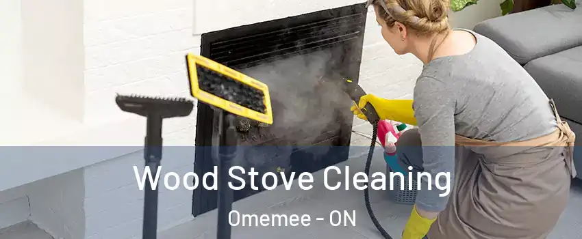  Wood Stove Cleaning Omemee - ON