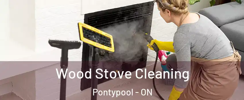  Wood Stove Cleaning Pontypool - ON