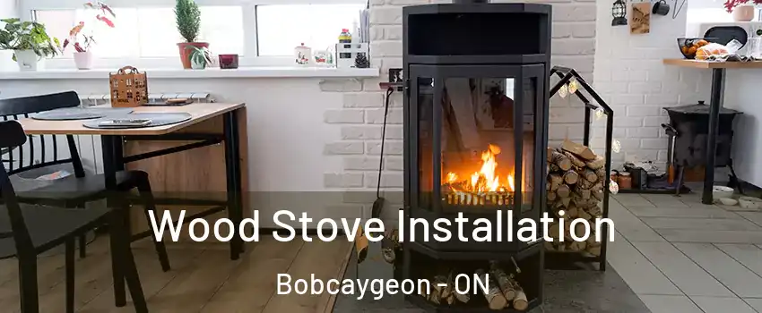  Wood Stove Installation Bobcaygeon - ON