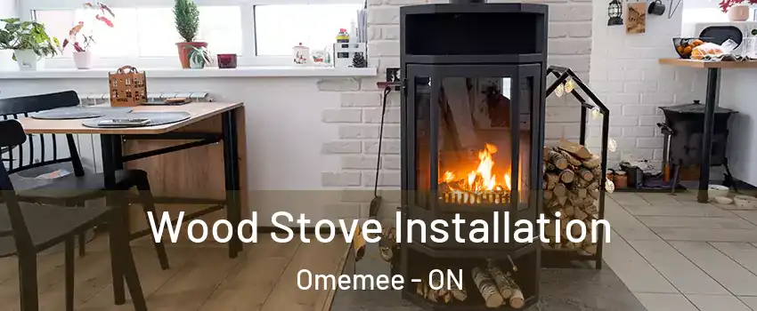  Wood Stove Installation Omemee - ON