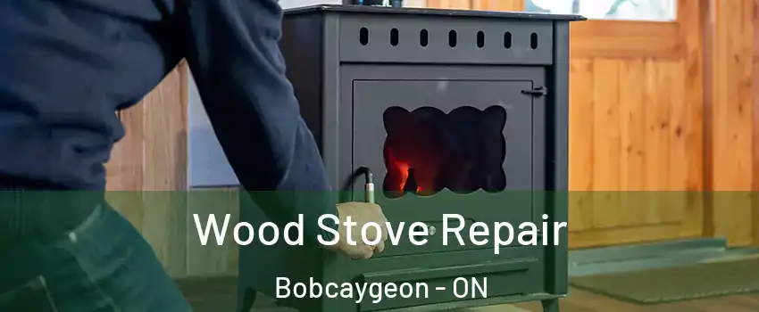  Wood Stove Repair Bobcaygeon - ON
