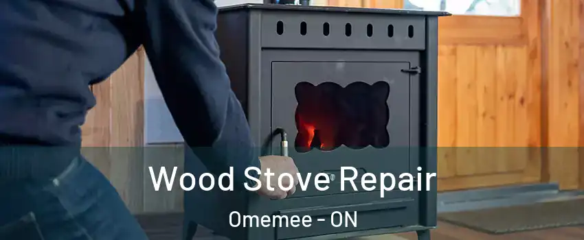  Wood Stove Repair Omemee - ON