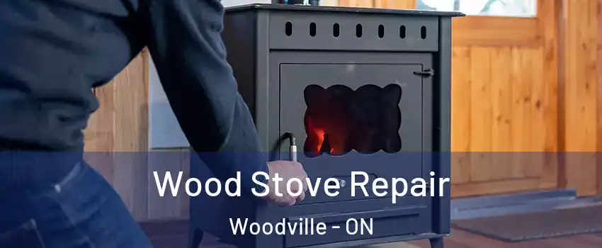  Wood Stove Repair Woodville - ON